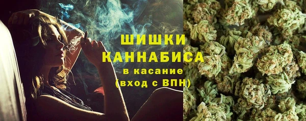 мдпв Вязьма