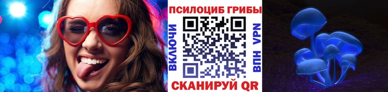 цена   Грозный  Галлюциногенные грибы мухоморы 