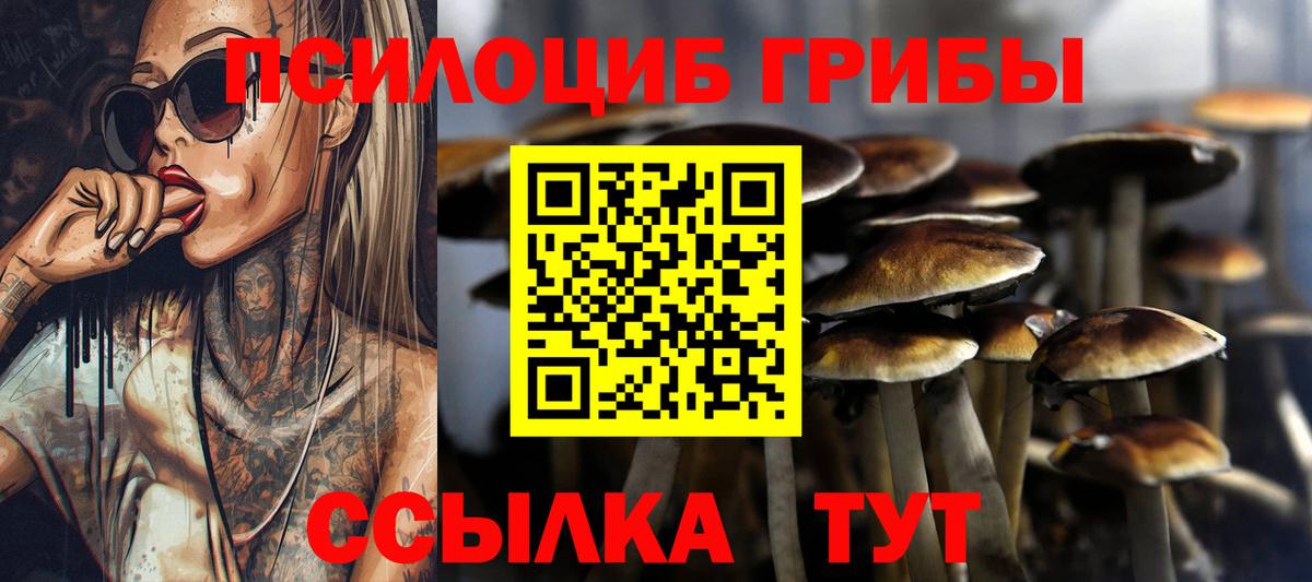 Псилоцибиновые грибы GOLDEN TEACHER  Псилоцибиновые грибы мухоморы  Вход с VPN  Грозный 