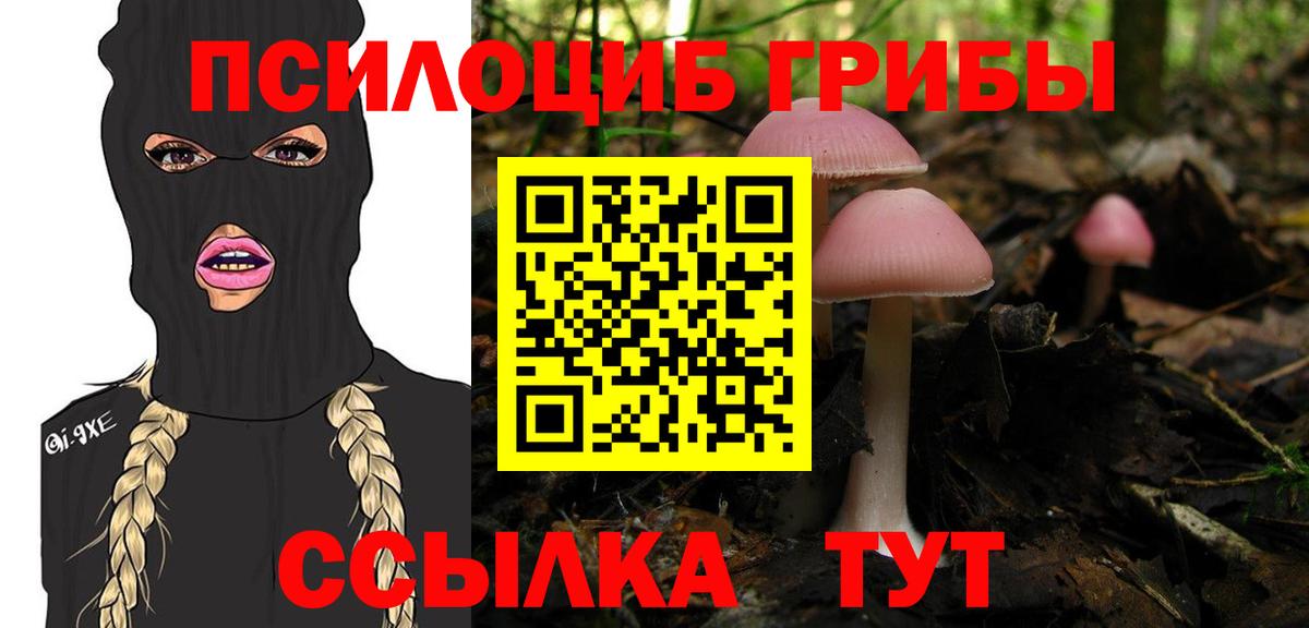 Псилоцибиновые грибы мицелий Грозный
